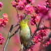 香りに囲まれて・・