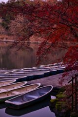 名残・・　其の弐