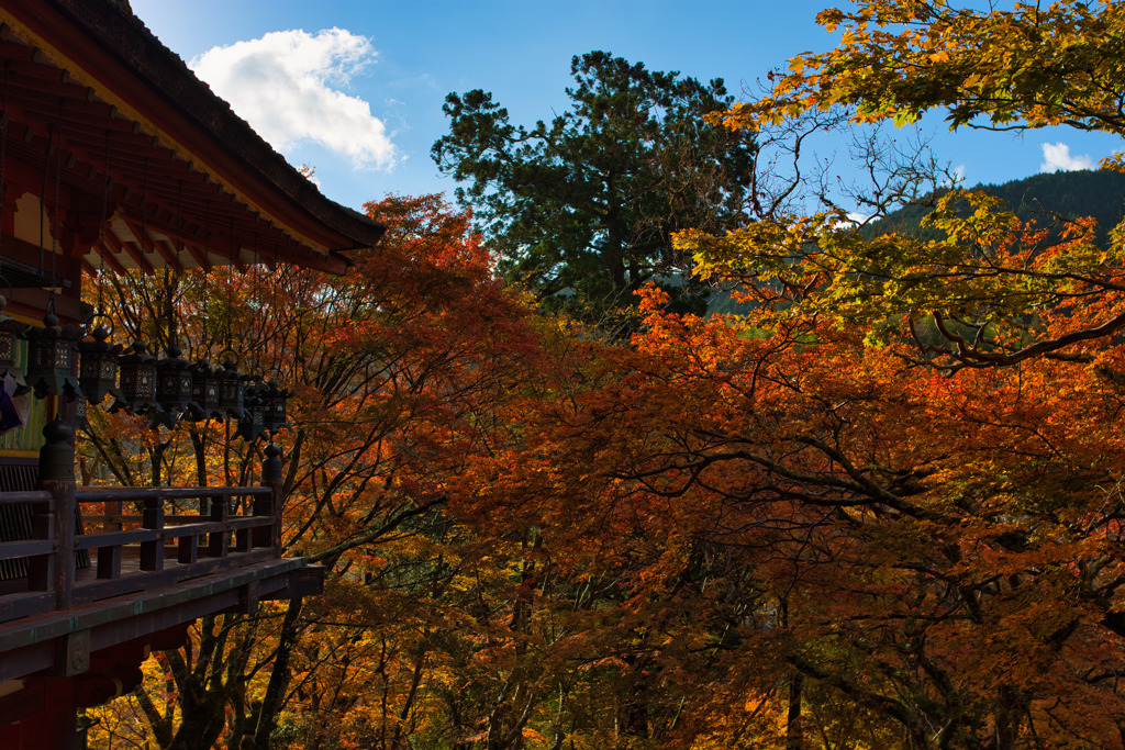 錦秋～談山神社～拝殿　其の弐