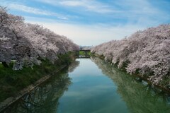 名も無き並木道　其の弐