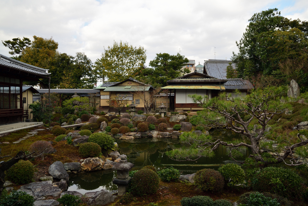 半夏生の庭園