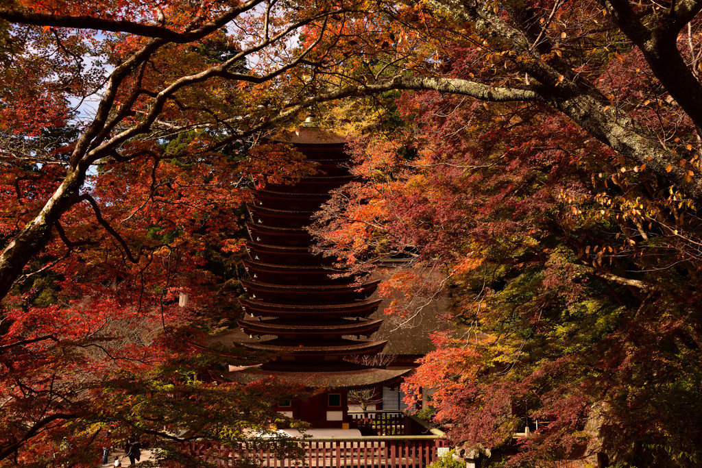 紅葉の中の十三重塔