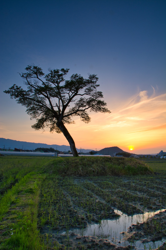 田植え前の古宮土壇