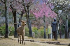 春を感じる頃・・
