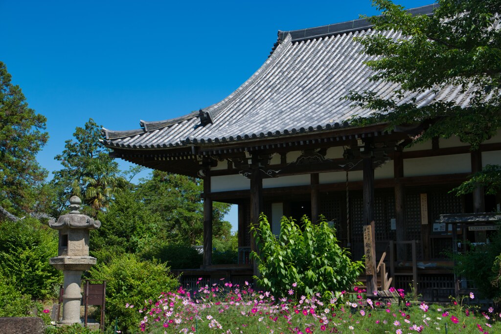 初夏の般若寺　②