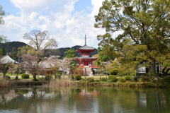 大覚寺　心経宝塔