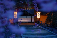 枝垂れの中で～正門　其の弐