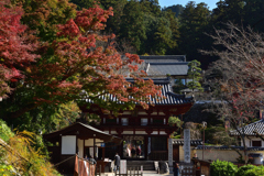 色付き始める龍蓋寺