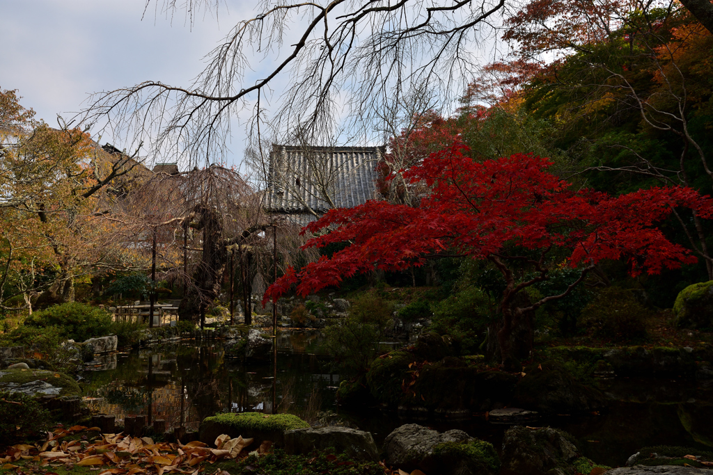 竹林院　群芳園