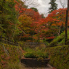 曇天の紅葉谷