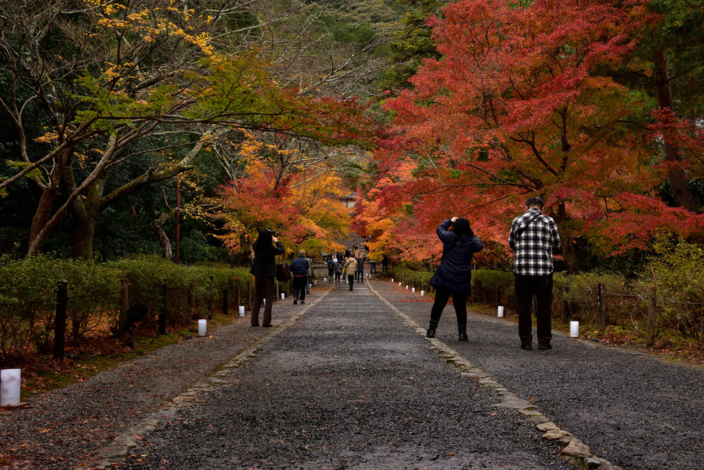 紅葉の馬場