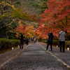 紅葉の馬場