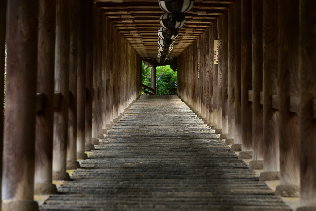 登廊の先のご褒美