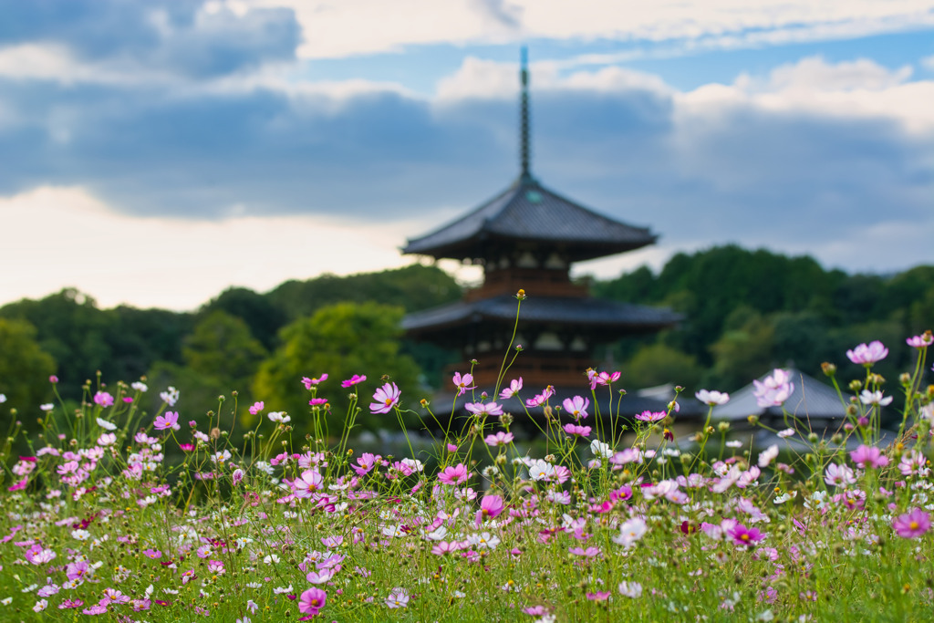 法起寺の秋