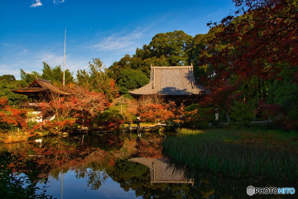 放生池の秋～長岳寺