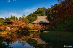 放生池の秋～長岳寺