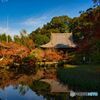 放生池の秋～長岳寺