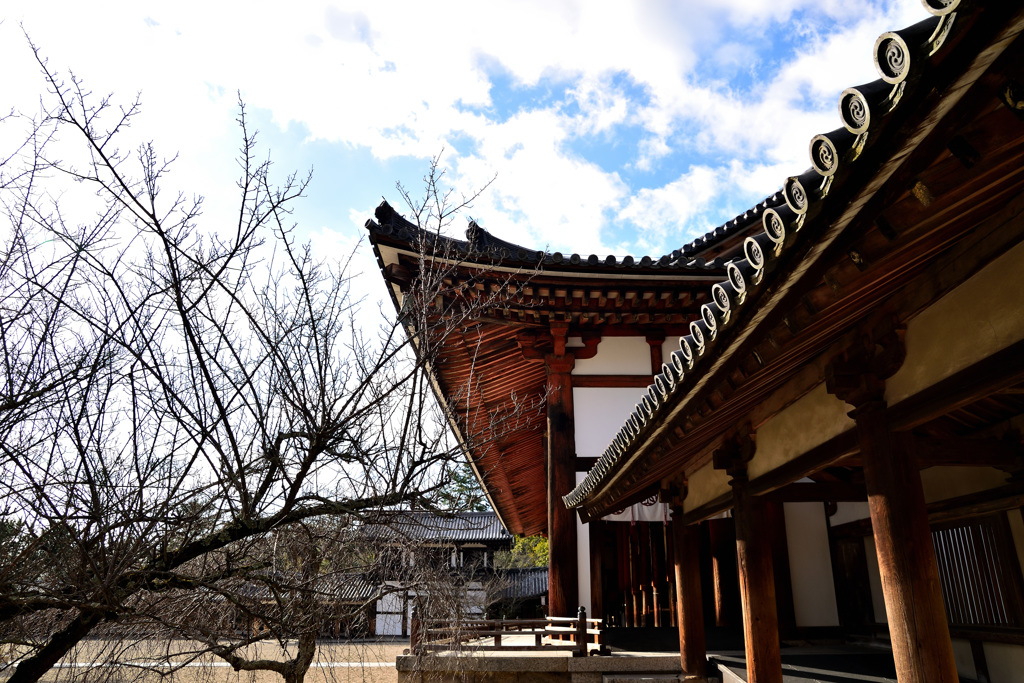 法隆寺　大講堂②
