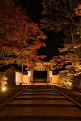 秋～始まりの時～金剛峯寺