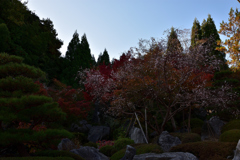 紅葉と桜