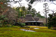 吉城園　離れ茶室を望む