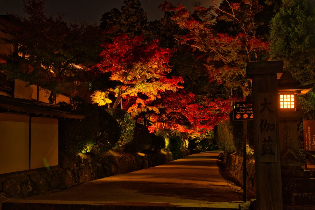 妖・・・蛇腹の道