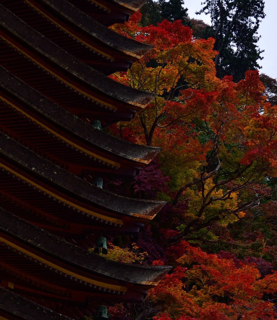Re談山神社　last