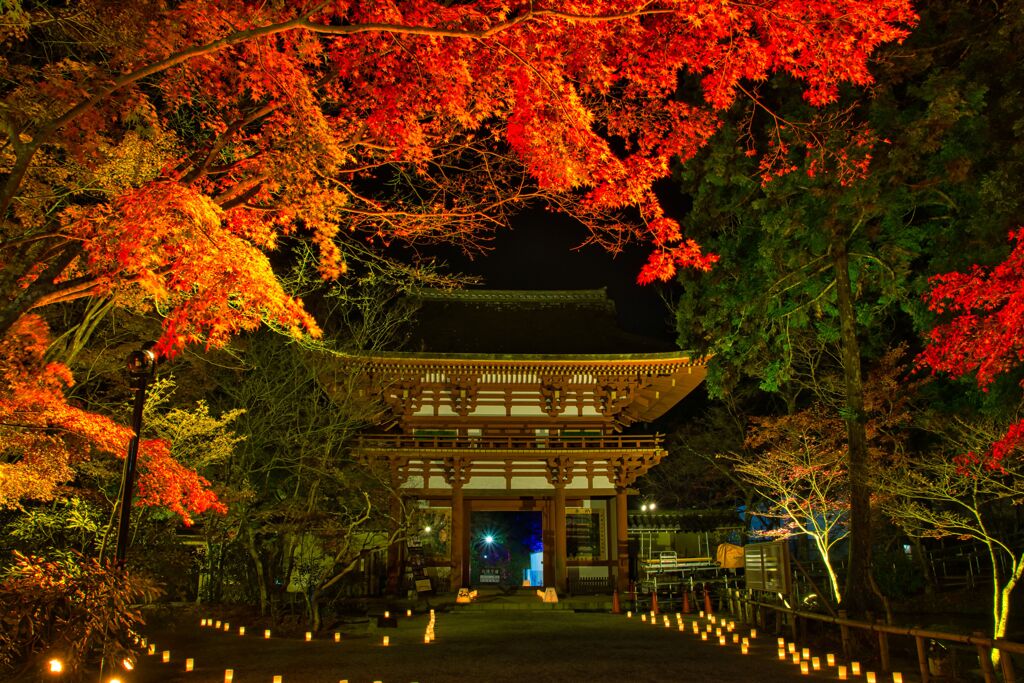 秋の夜の・・・・室生寺