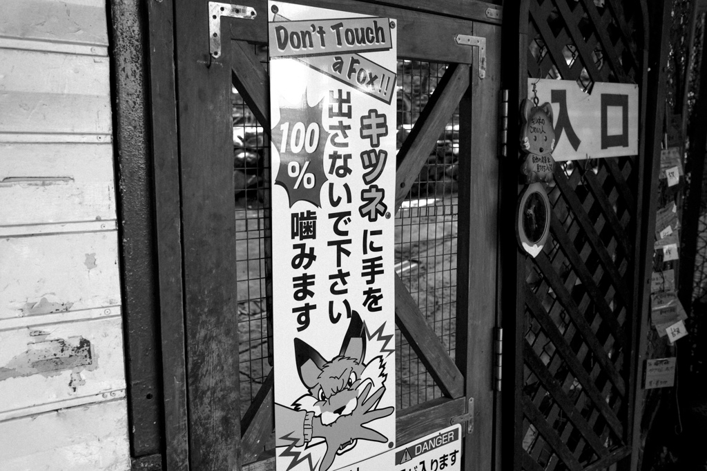 100％噛みます。