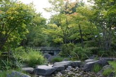 昭和記念公園・日本庭園