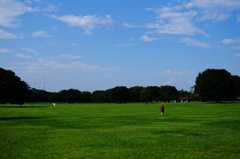 昭和記念公園
