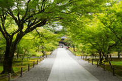 南禅寺