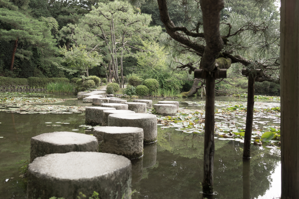 平安神宮・竜の道