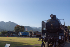 D51