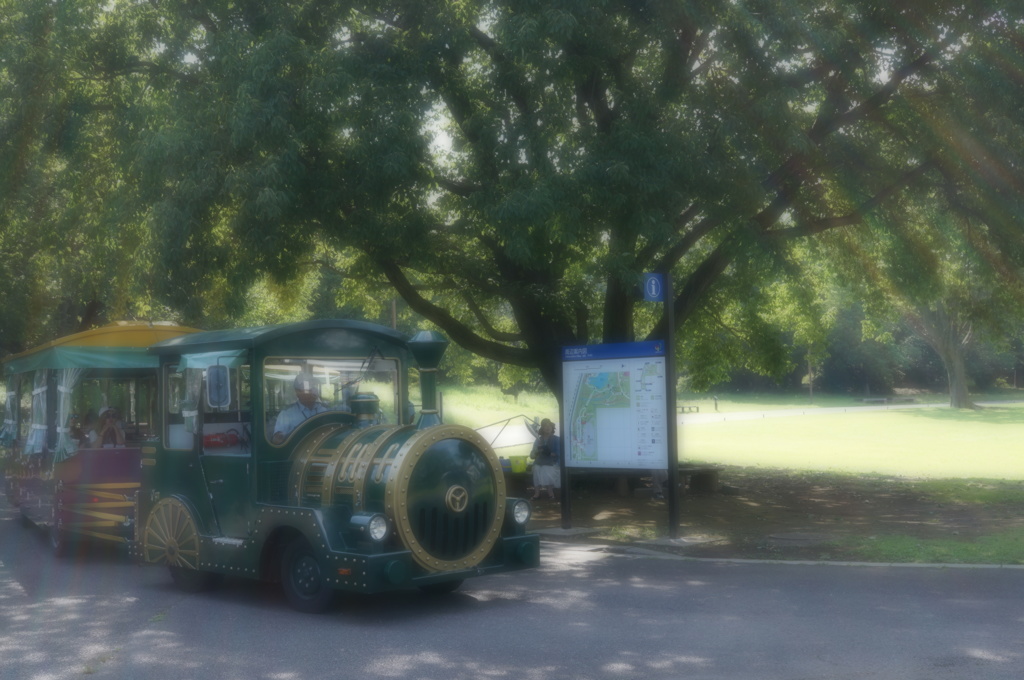 昭和記念公園