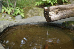 昭和記念公園・ししおどし？