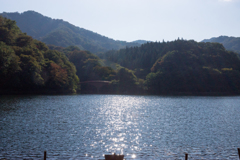 湖面のかがやき