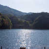 湖面のかがやき