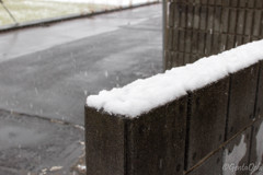 雪_2