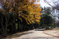 科学万博記念公園_3