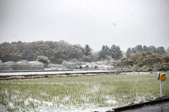 雪_1