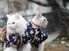 Matching clothes