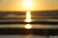 太陽がいっぱい