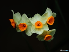 Group