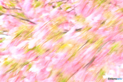 Swaying