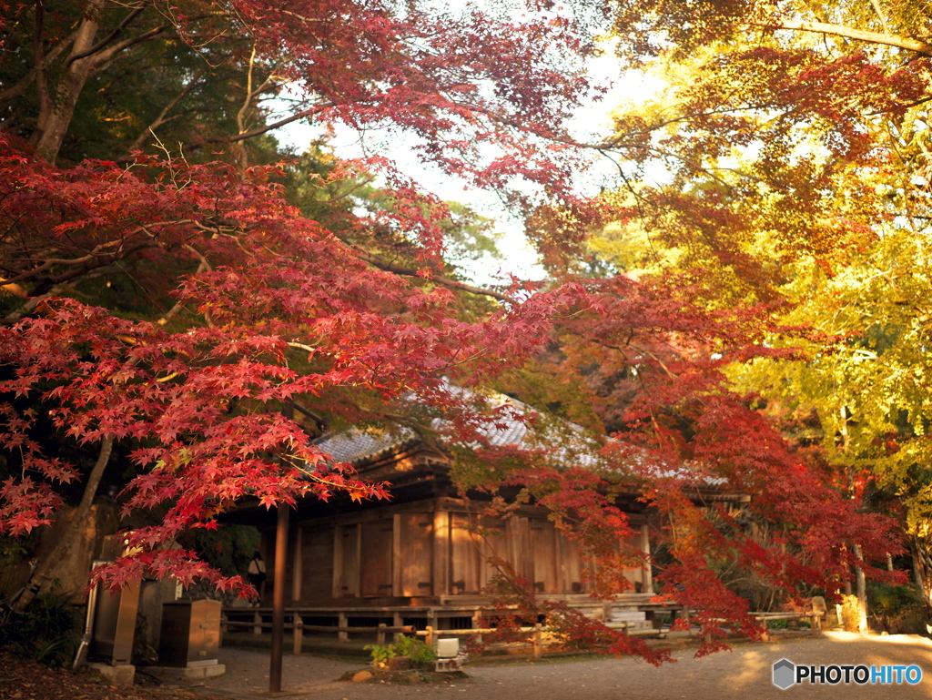 富貴寺