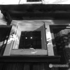 灯