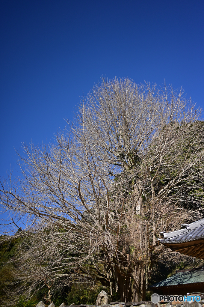 祭りの後の寂しさ