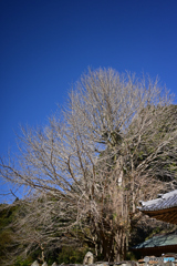 祭りの後の寂しさ