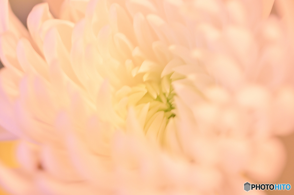 包み込むように